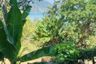 Land for sale in Rawai, Phuket