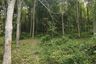 Land for sale in Pa Khlok, Phuket