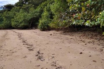 Land for sale in Pa Khlok, Phuket