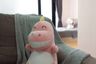 1 Bedroom Condo for sale in Bangkok Horizon Lite @ Phekasem 48 Station, Bang Wa, Bangkok near MRT Phetkasem 48