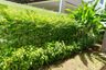 5 Bedroom House for rent in Supalai Bella Thalang Phuket, Thep Krasatti, Phuket