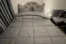 Condo for rent in The Origin Ladprao 15, Chom Phon, Bangkok near MRT Lat Phrao