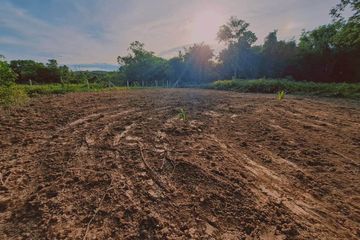 Land for sale in Ratsada, Phuket