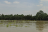 Land for sale in Bang Yo, Samut Prakan