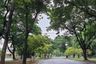 3 Bedroom House for sale in Manthana Thonburirom, Thung Khru, Bangkok