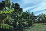 Land for sale in Preng, Samut Prakan