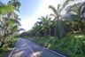 Land for sale in Lam Phi, Phang Nga