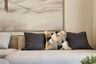 1 Bedroom Condo for rent in Reference Sathorn - Wongwianyai, Samre, Bangkok near BTS Wongwian Yai