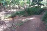 Land for sale in Choeng Thale, Phuket