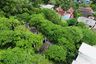 Land for sale in Kamala, Phuket