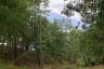Land for sale in Mai Khao, Phuket