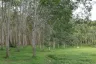 Land for sale in Chalong, Phuket