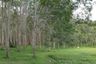 Land for sale in Chalong, Phuket
