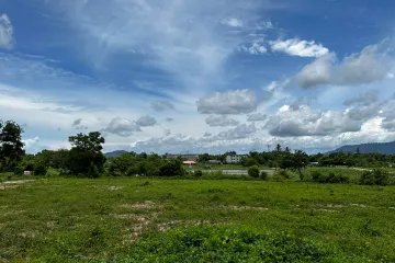 Land for sale in Patong, Phuket