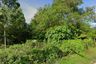 Land for sale in Kathu, Phuket