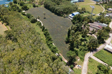 Land for sale in Pa Khlok, Phuket