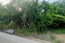 Land for sale in Phlapphla, Bangkok