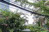 3 Bedroom Apartment for rent in Neo Aree Apartment, Khlong Tan, Bangkok near BTS Thong Lo