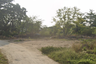 Land for sale in Si Sunthon, Phuket