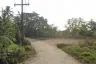 Land for sale in Si Sunthon, Phuket