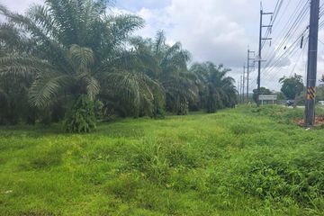 Land for sale in Krasom, Phang Nga