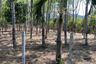 Land for sale in Thep Krasatti, Phuket