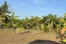 Land for sale in Chalong, Phuket