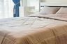2 Bedroom Condo for rent in Hasu Haus, Phra Khanong Nuea, Bangkok near BTS On Nut