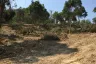 Land for sale in Chalong, Phuket