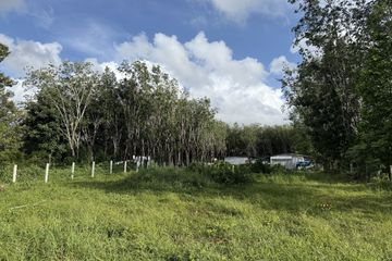 Land for sale in Si Sunthon, Phuket