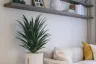 1 Bedroom Condo for rent in Skyrise Avenue Sukhumvit 64, Bang Chak, Bangkok near BTS Punnawithi