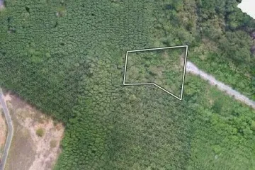 Land for sale in Pa Khlok, Phuket