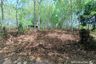 Land for sale in Si Sunthon, Phuket
