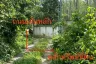 Land for sale in Si Sunthon, Phuket