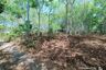 Land for sale in Si Sunthon, Phuket