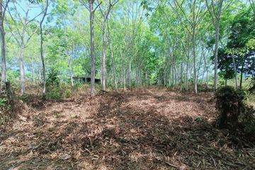 Land for sale in Si Sunthon, Phuket