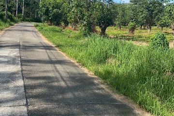 Land for sale in Thep Krasatti, Phuket
