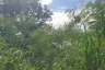 Land for sale in Chalong, Phuket