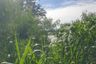 Land for sale in Chalong, Phuket