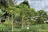 Land for sale in Fine Home 3, Ram Inthra, Bangkok near MRT Synphaet