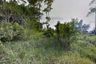 Land for sale in Thep Krasatti, Phuket