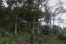 Land for sale in Thep Krasatti, Phuket