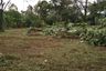 Land for sale in Si Sunthon, Phuket