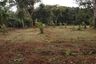 Land for sale in Si Sunthon, Phuket