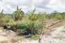 Land for sale in Si Sunthon, Phuket