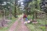 Land for sale in Bang Wan, Phang Nga