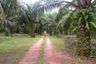Land for sale in Bang Wan, Phang Nga