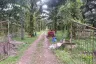 Land for sale in Bang Wan, Phang Nga