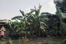 Land for sale in Bang Sue, Bangkok near MRT Bang Son