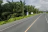Land for sale in Bo Saen, Phang Nga